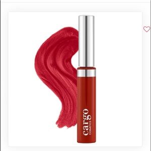 Swimmables Matte Liquid Lipstick